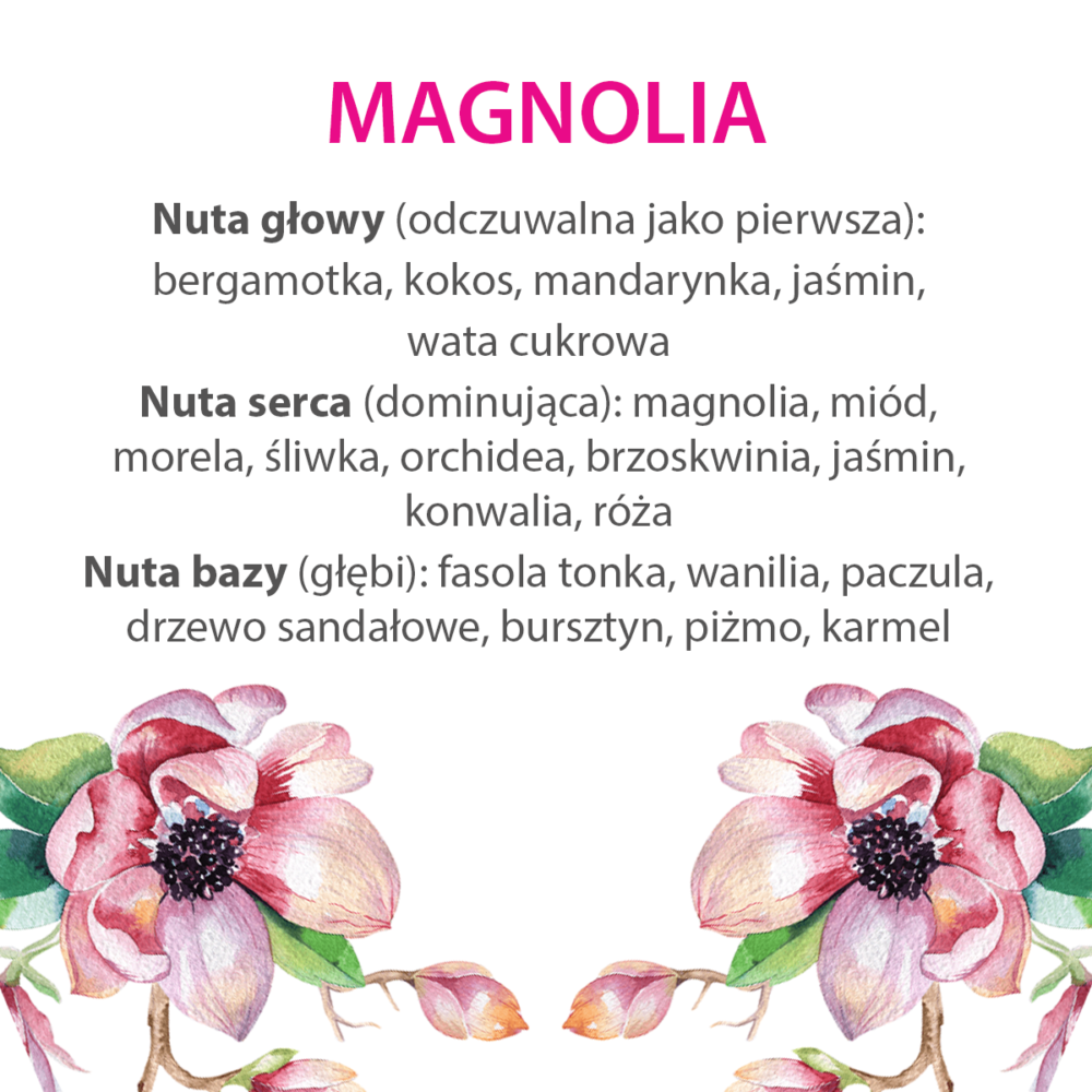Magnolia_nuty_zapachowe_MiBellumi