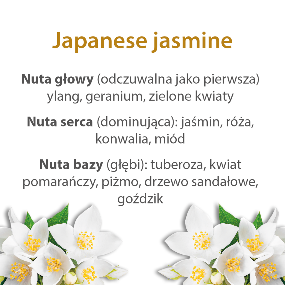 Kwiaty_japoński_jaśmin_nuty_zapachowe