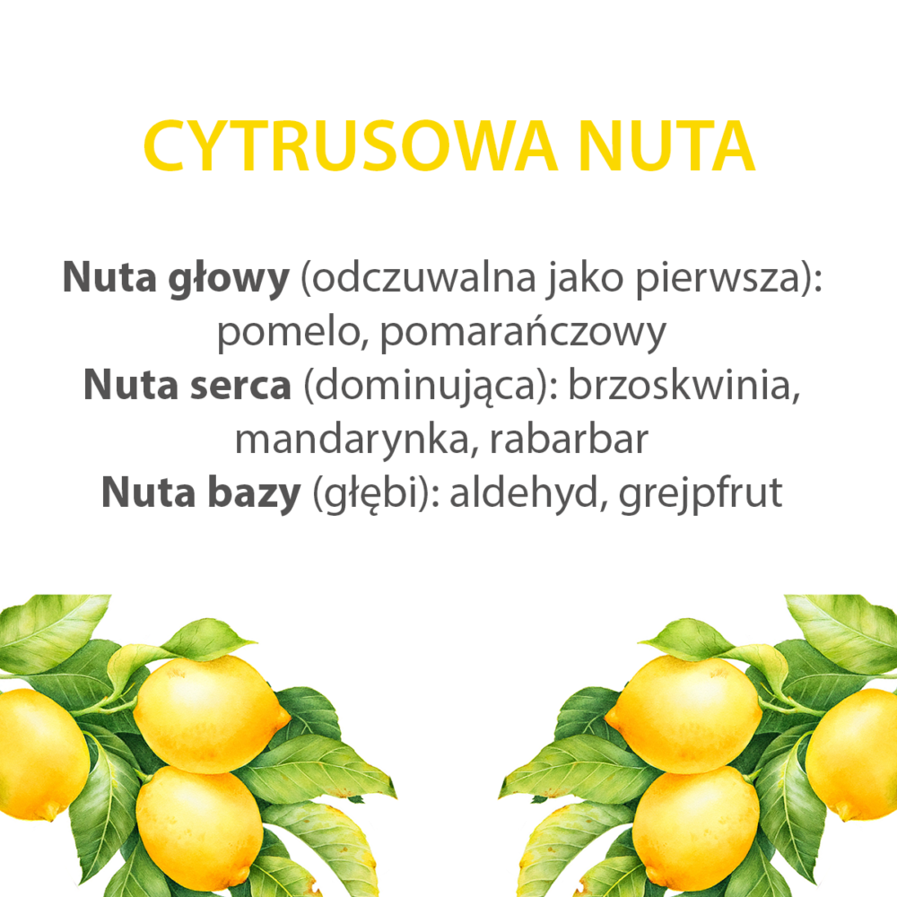 cytrusowa_nuta_nuty_zapachowe