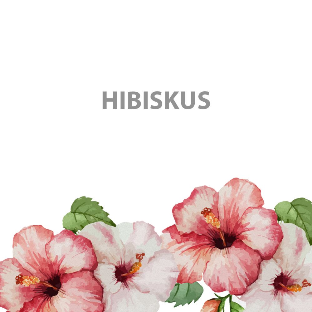hibiskus_kwiaty