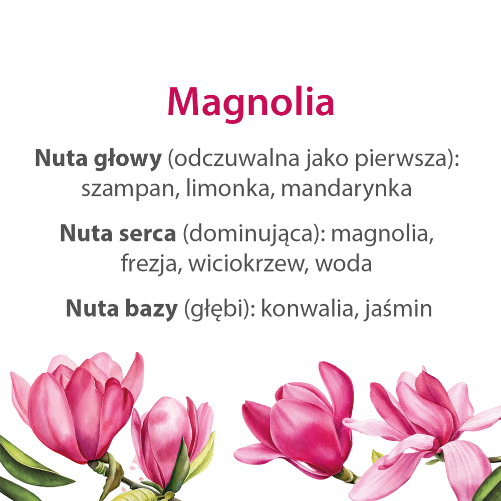 magnolia_nuty_zapachowe_MiBellumi